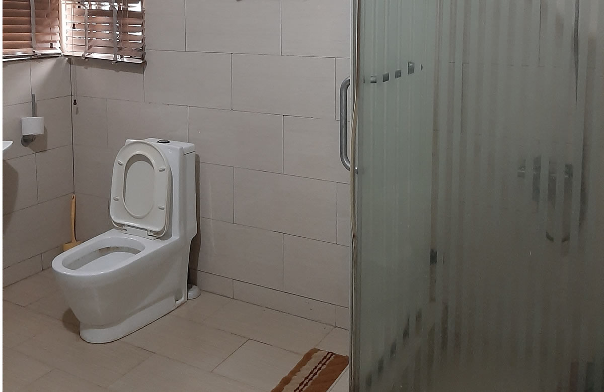 Golden Tree Hotels and Suites